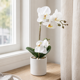 Orchid hvit 35 cm