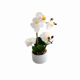 Orchid white 30 cm