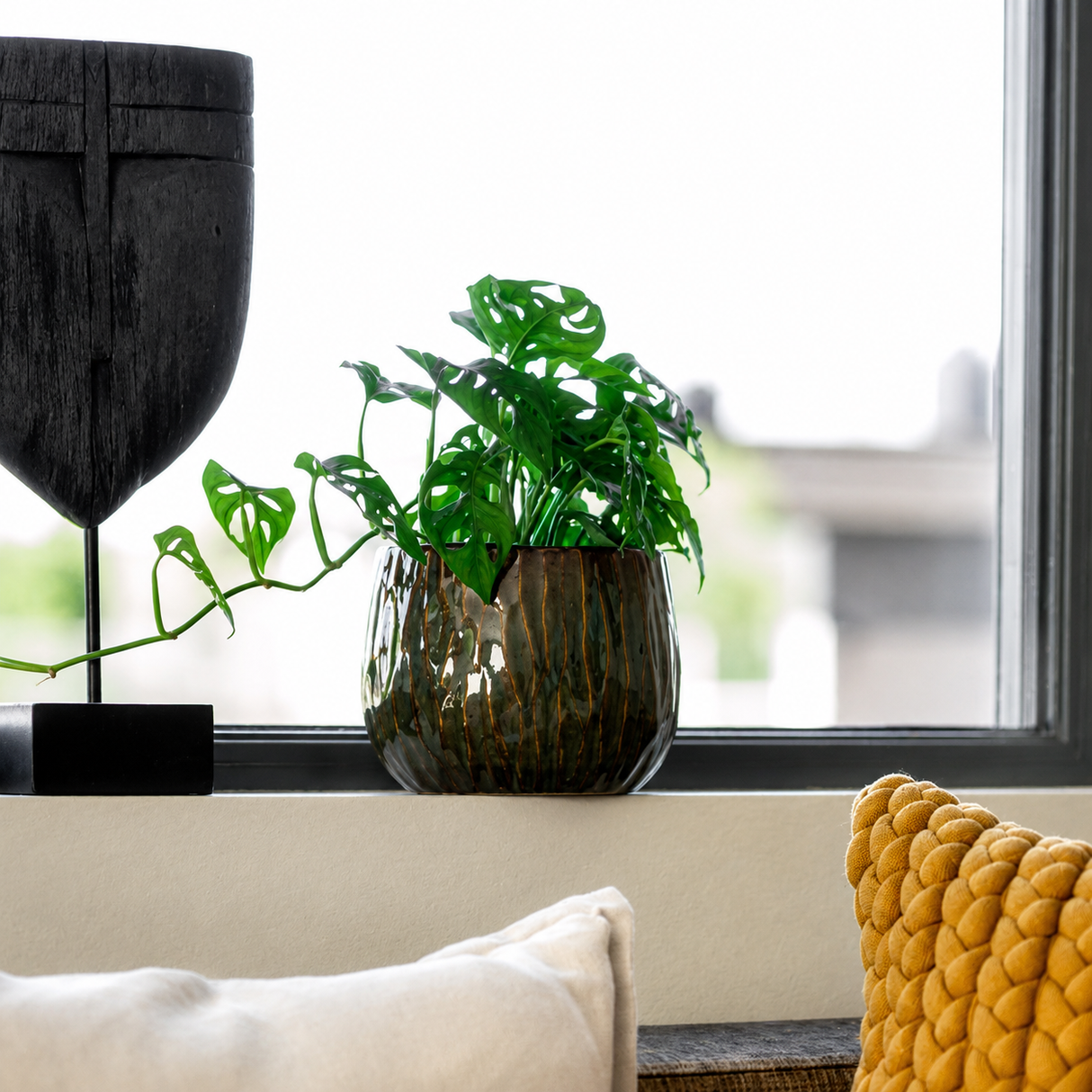 Pan Green potteskjuler