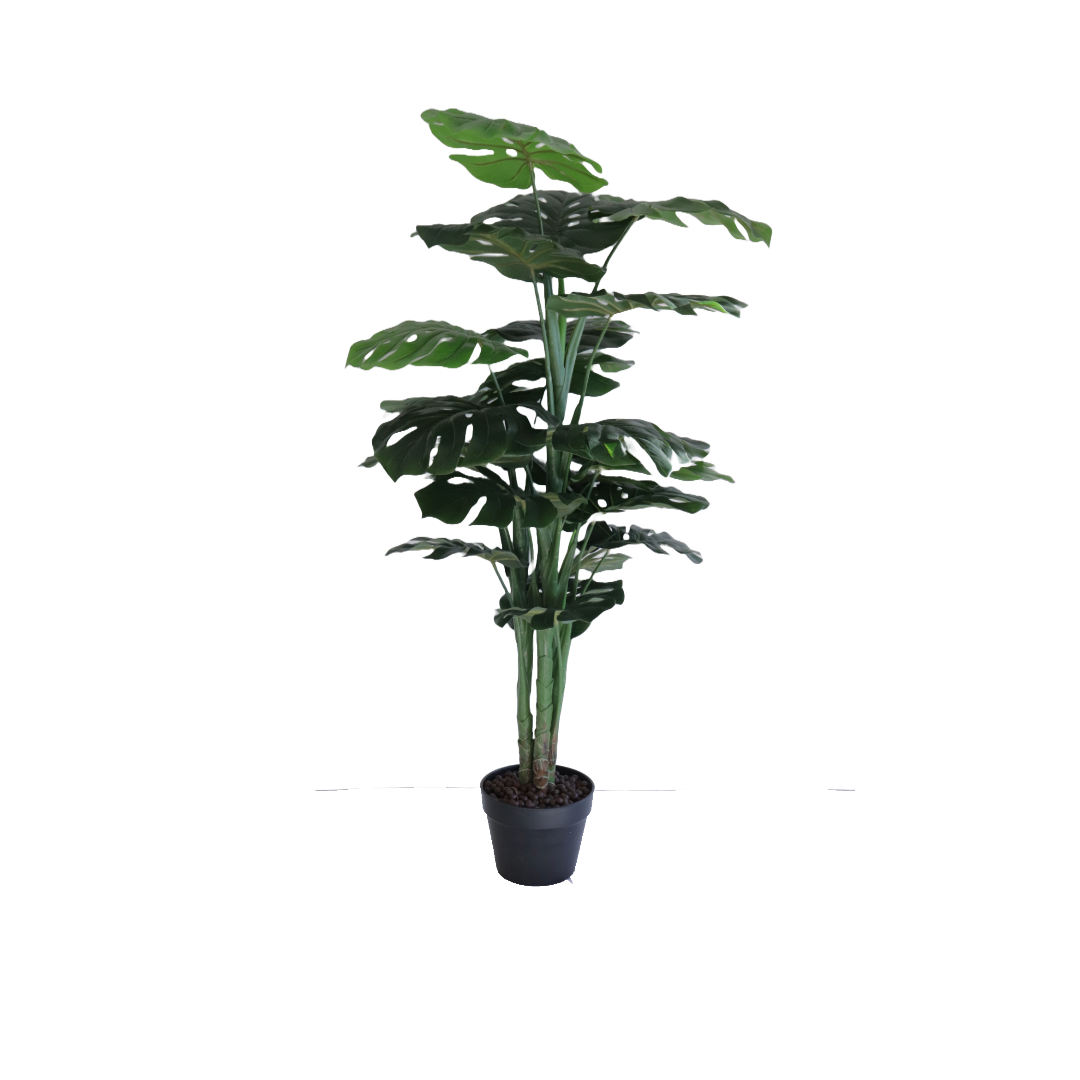 Flora Monstera 120 cm