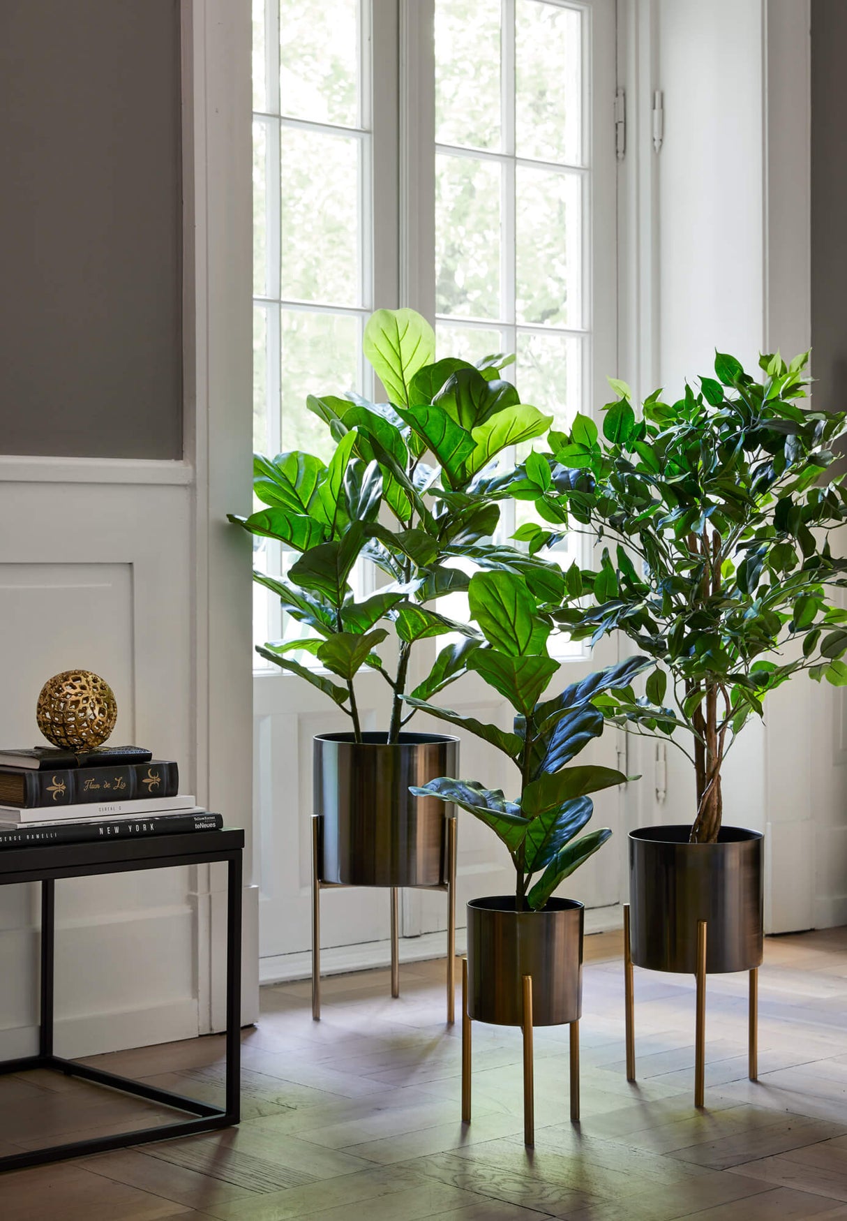 Flora Fiolinfiken 100 cm