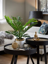 Flora Palme H: 60 cm