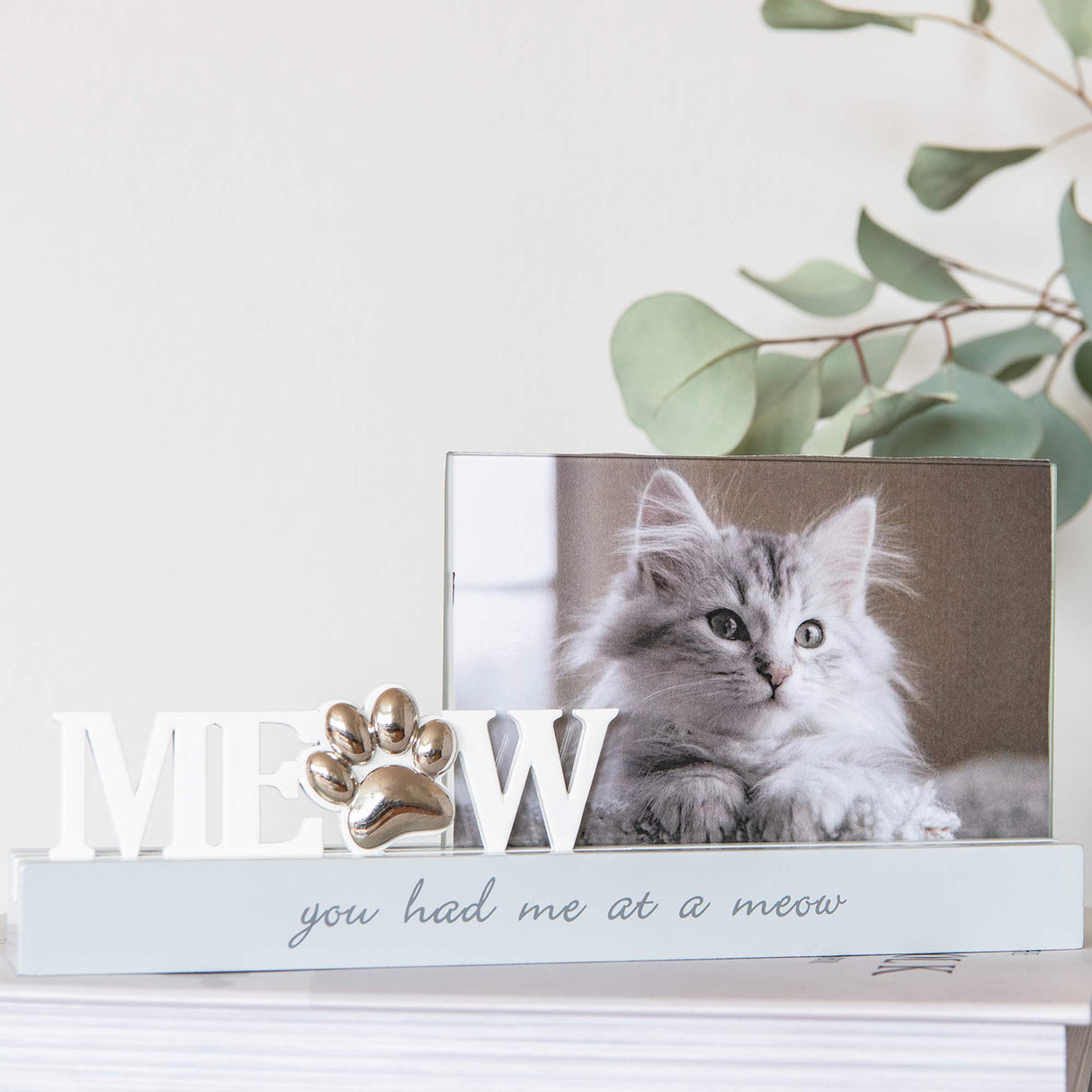 Meow ramme