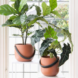 Lola potteskjuler terracotta